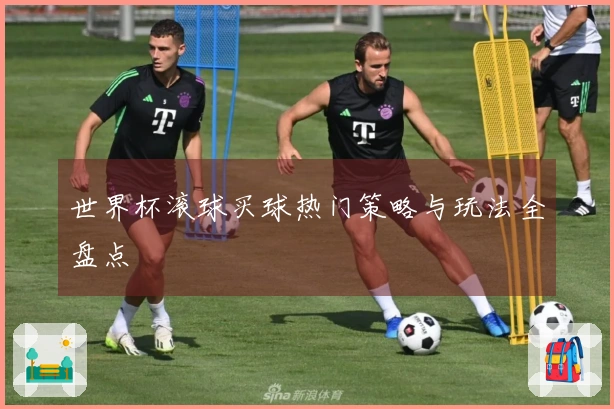世界杯滚球买球热门策略与玩法全盘点
