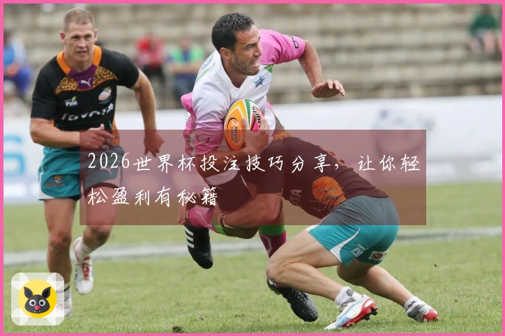 2026世界杯投注技巧分享，让你轻松盈利有秘籍